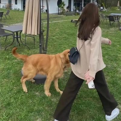纳米布